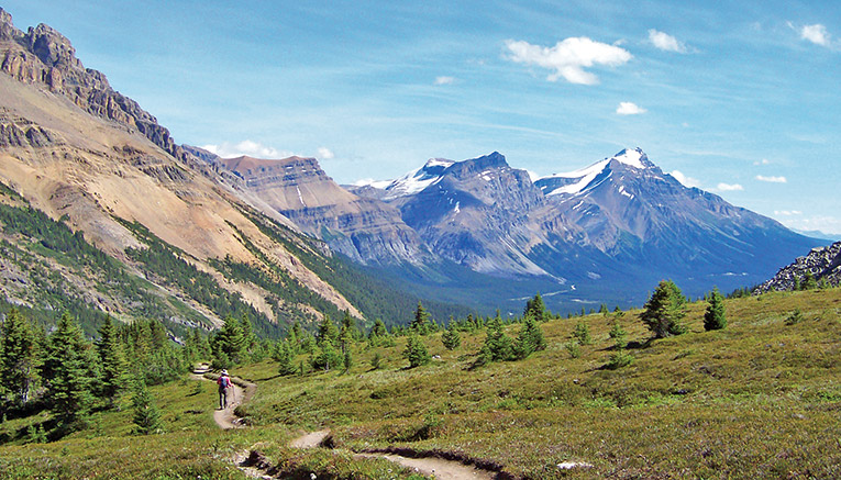 Wcni-canadian-walking-5